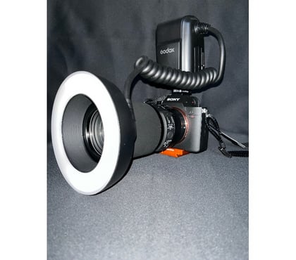 Castings, modèles, photographes Cambrai Nord - Photos Vivastreet Recherche modèle photo débutante