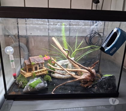 Services, accessoires animaux Herblay Val-d'Oise - Photos Vivastreet Aquarium complet