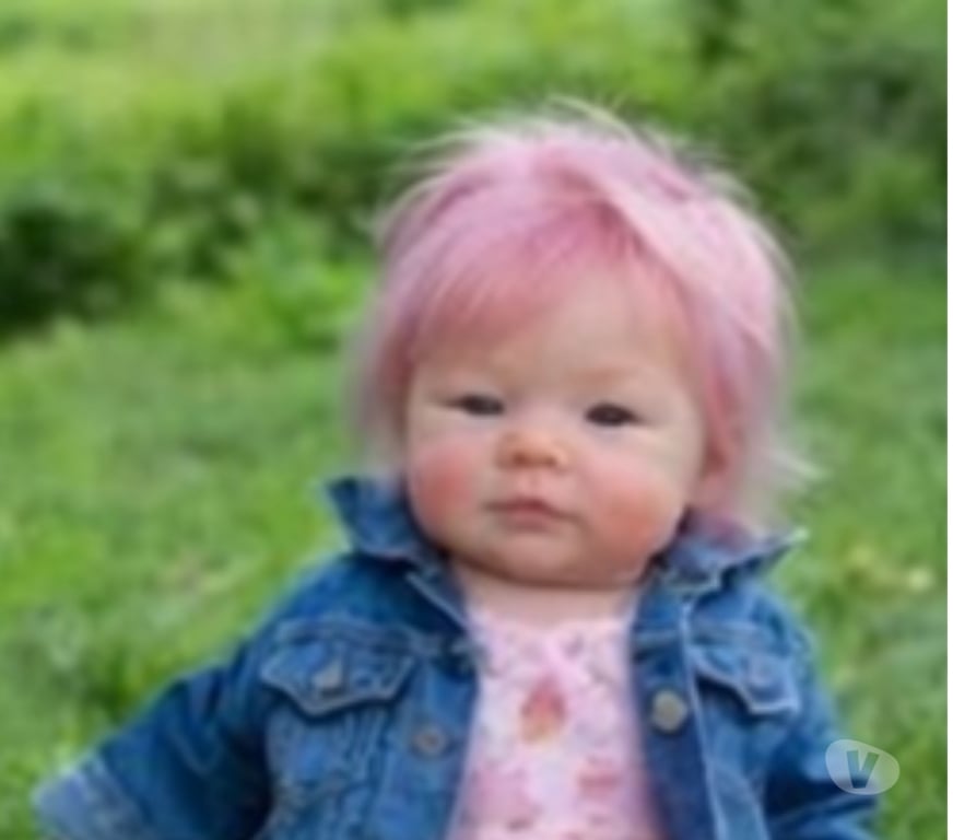 Collection Haute-Garonne Toulouse - Photos Vivastreet Poupée reborn Sakura