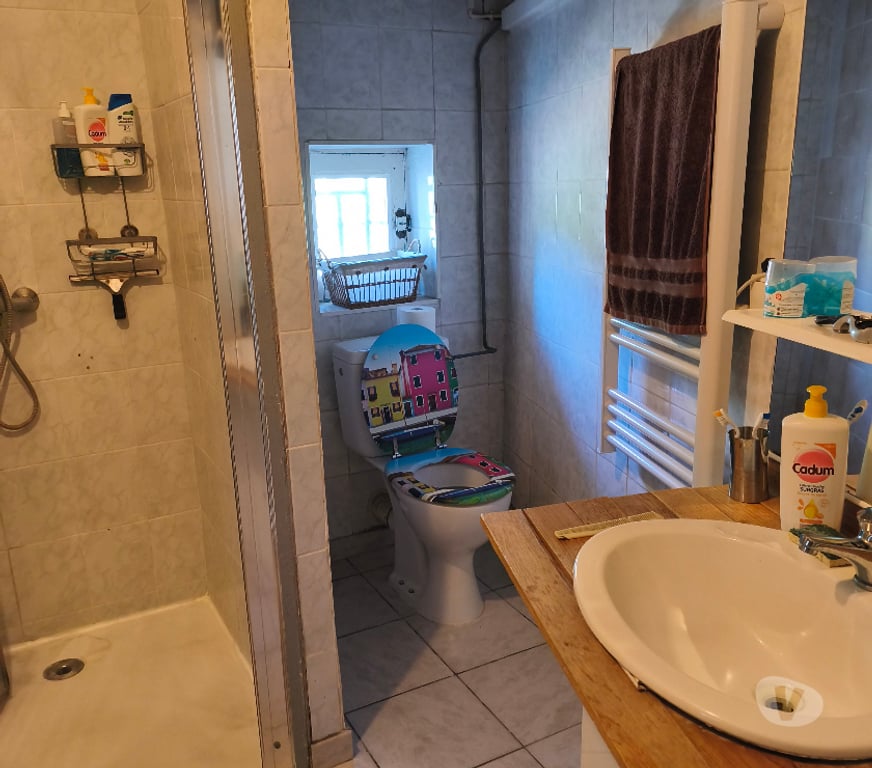 Vente Maison Gard St Gilles - 30800 - Photos Vivastreet Mas en Petite Camargue