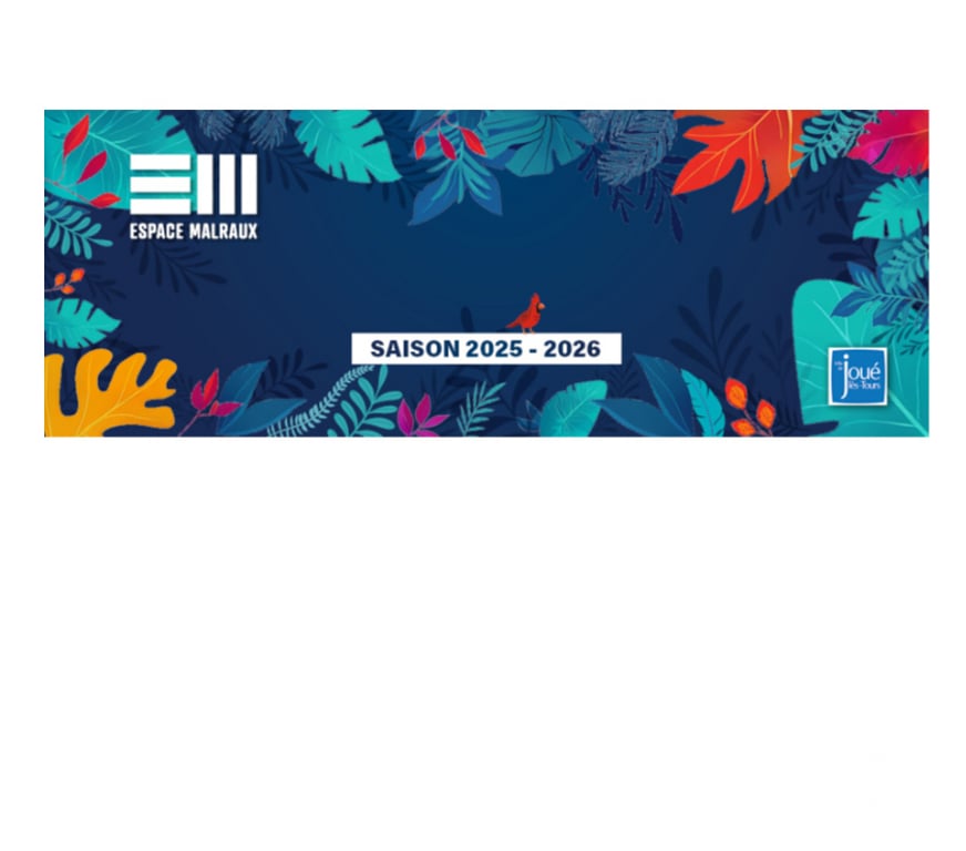 Spectacles Indre-et-Loire Joue les Tours - 37300 - Photos Vivastreet 2 places concert Yannick Noah le 3 février Joué-lès-Tours