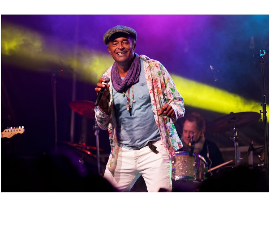 Spectacles Indre-et-Loire Joue les Tours - 37300 - Photos Vivastreet 2 places concert Yannick Noah le 3 février Joué-lès-Tours