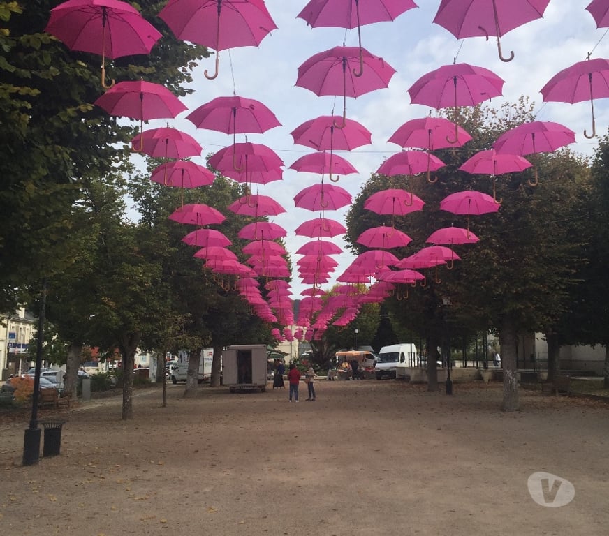 Appartement meublé Vienne La Roche Posay - 86270 - Photos Vivastreet Beau studio meublé idéal curiste proche thermes centre
