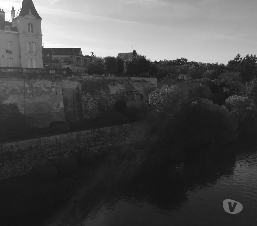 location saisonniere Vienne La Roche Posay - 86270 - Photos Vivastreet Meublé studio idéal curiste tout à proximité