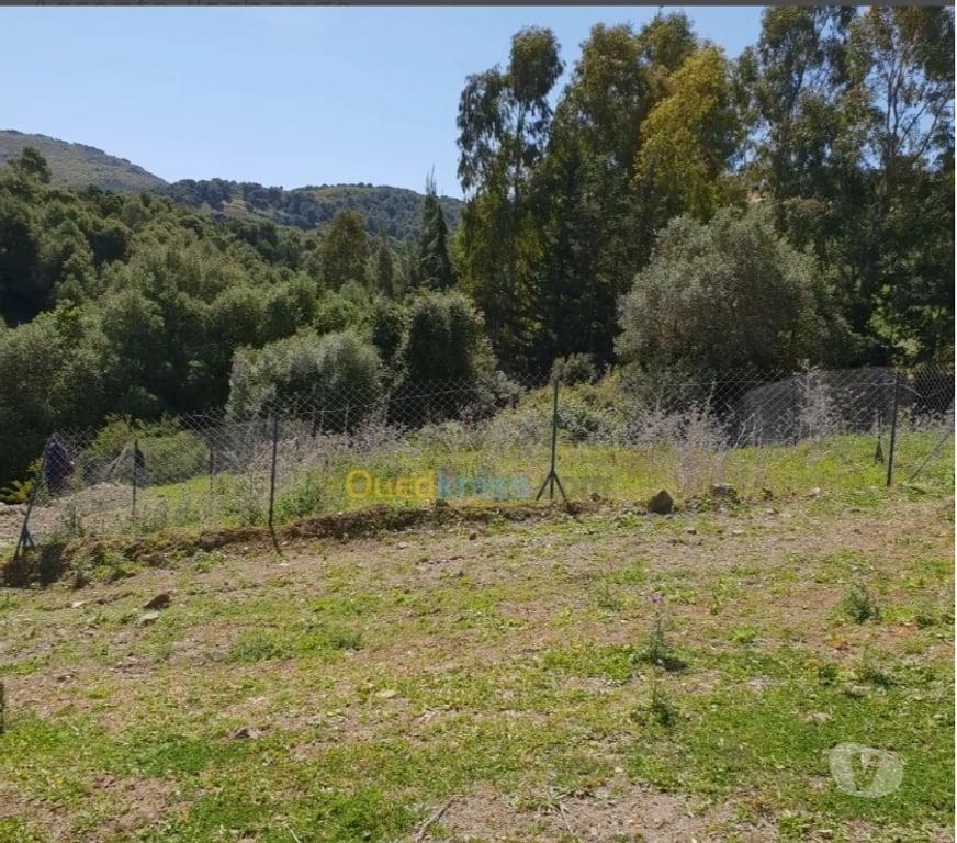 Terrain à vendre Algérie - Photos Vivastreet Terrain constructible Cherchell Tipaza Algérie