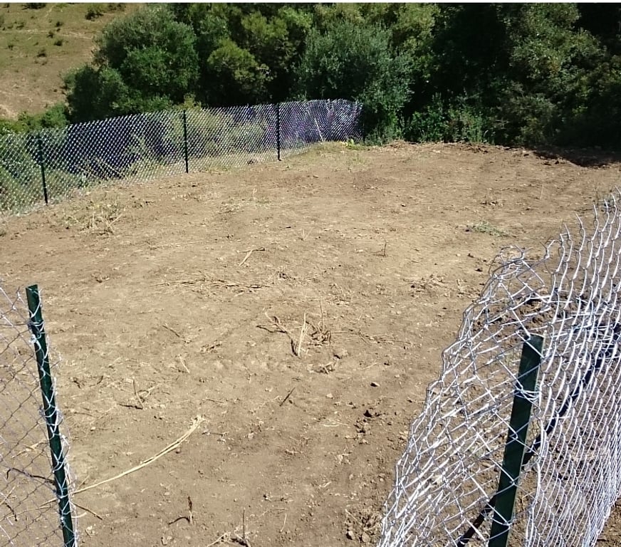 Terrain à vendre Algérie - Photos Vivastreet Terrain constructible Cherchell Tipaza Algérie