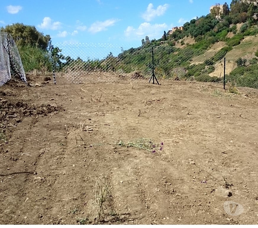 Terrain à vendre Algérie - Photos Vivastreet Terrain constructible Cherchell Tipaza Algérie