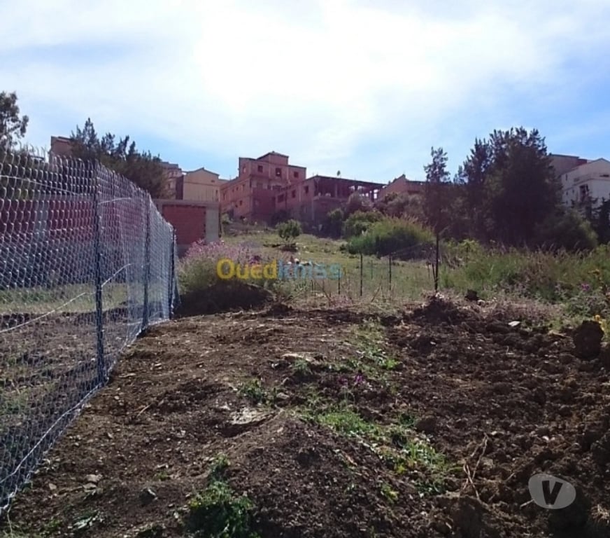Terrain à vendre Algérie - Photos Vivastreet Terrain constructible Cherchell Tipaza Algérie