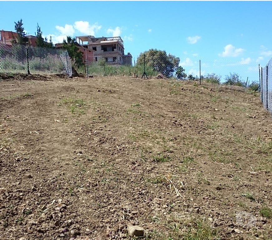 Terrain à vendre Algérie - Photos Vivastreet Terrain constructible Cherchell Tipaza Algérie