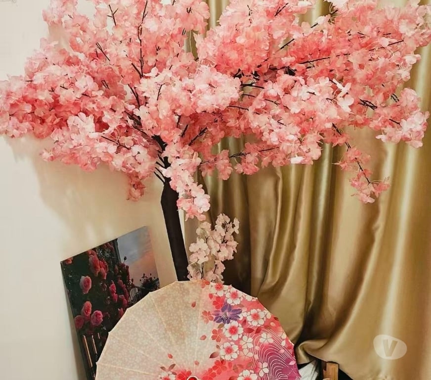 Massages Bouches-du-Rhône Marseille - Photos Vivastreet Massage Japonais : Votre Soin Luxueux avec Repas Inclus