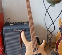 Basse CORT B4 element