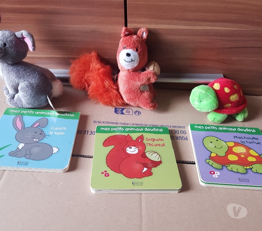Jeux - Jouets Essonne Juvisy sur Orge - 91260 - Photos Vivastreet doudous et livres neufs bébé