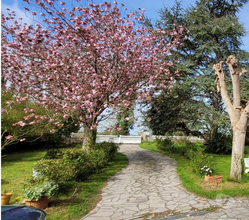 location saisonniere Ille-et-Vilaine Mont Dol - 35120 - Photos Vivastreet Belle maison de vacance Clos Florie