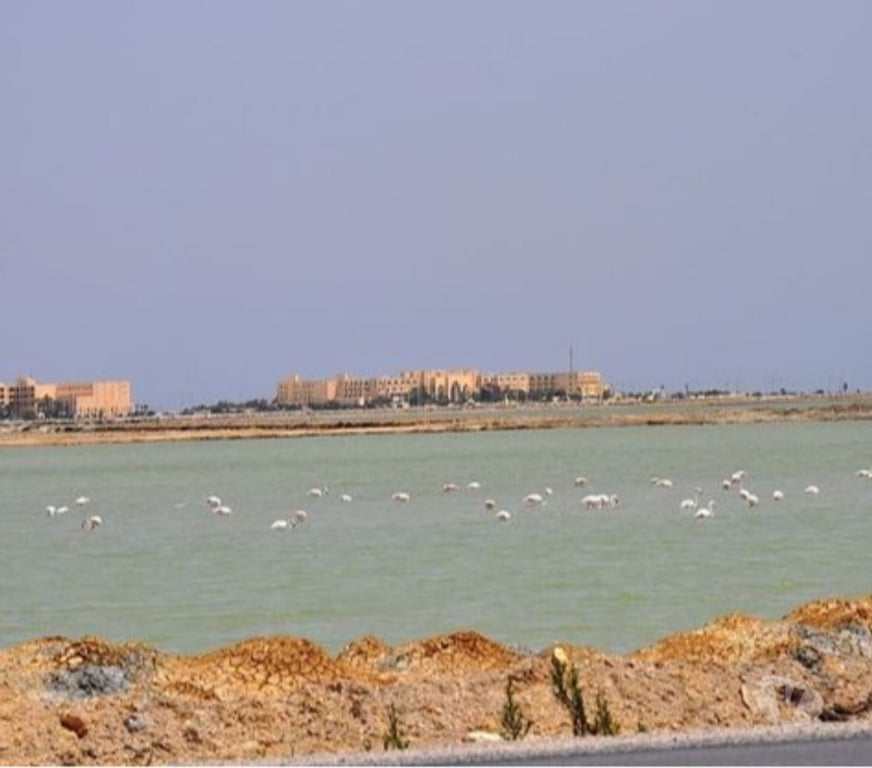 Terrain à vendre Tunisie - Photos Vivastreet Terrain d’angle vue mer et lac à Skanes Monastir TUNISIE