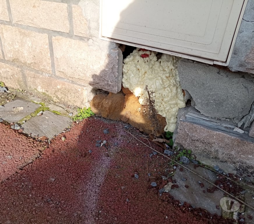  Nord Tourcoing - 59200 - Photos Vivastreet Plusieurs Cartons de 12 Mousse expansive prix cassé