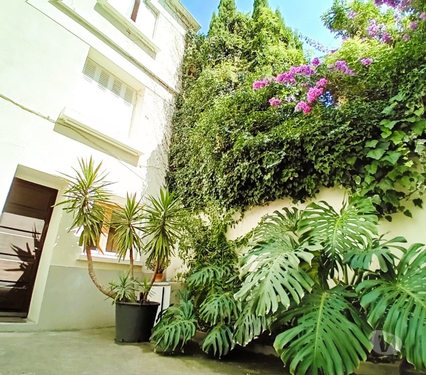 Appartement meublé Hérault Montpellier - Photos Vivastreet F1 centre Historique à 5' des Facs, 3 lignes Tram
