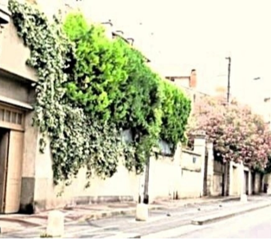 Appartement meublé Hérault Montpellier - Photos Vivastreet F1 centre Historique à 5' des Facs, 3 lignes Tram