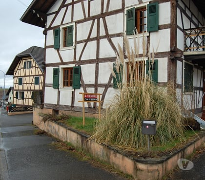 Vente Maison Muespach le Haut Haut-Rhin - Photos Vivastreet vente maison a Muespach-le-haut