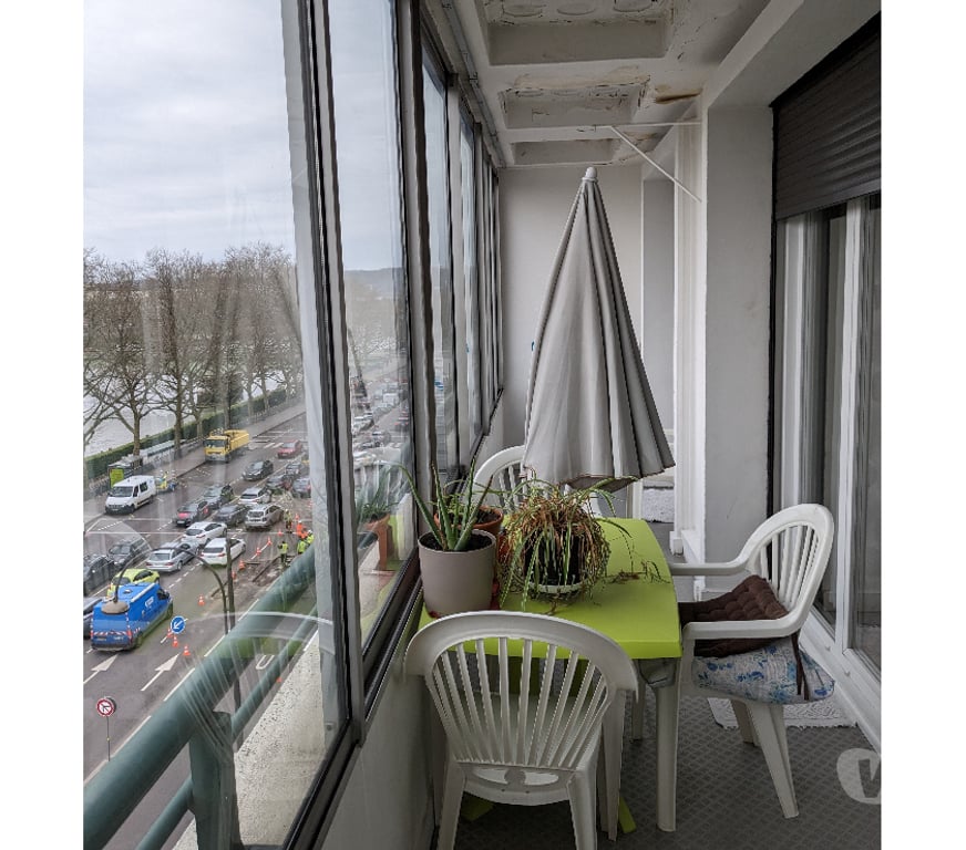 Appartements à vendre Seine-Maritime Rouen - Photos Vivastreet appartement F3 centre Rouen vue Seine