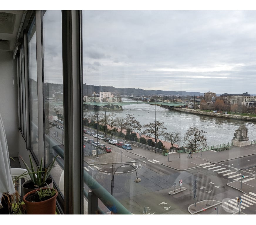 Appartements à vendre Seine-Maritime Rouen - Photos Vivastreet appartement F3 centre Rouen vue Seine