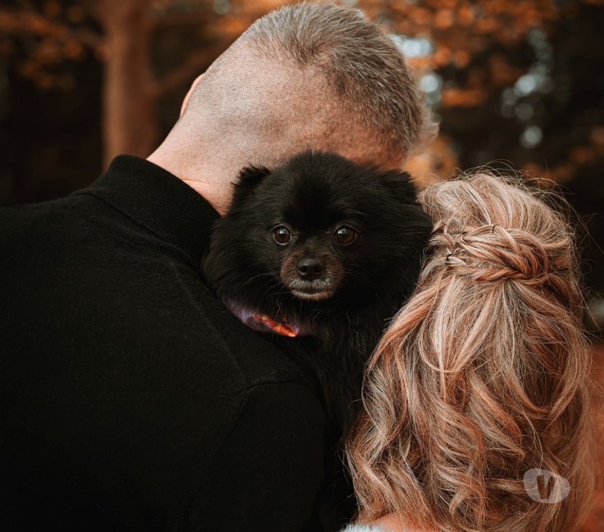 Castings, modèles, photographes Drôme St Paul Trois Chateaux - 26130 - Photos Vivastreet Photographe en extérieur – Saint-Paul-Trois-Châteaux
