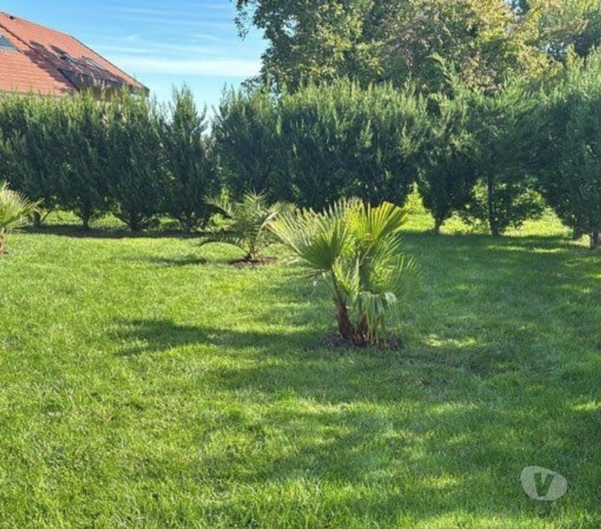 Appartement meublé Haute-Savoie St Julien en Genevois - 74160 - Photos Vivastreet Duplex Meublé 133 m Frontière Suisse