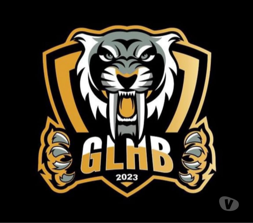 Evenements sportifs Morbihan Hennebont - 56700 - Photos Vivastreet 2 places Hennebont Handball vs Libourne samedi soir