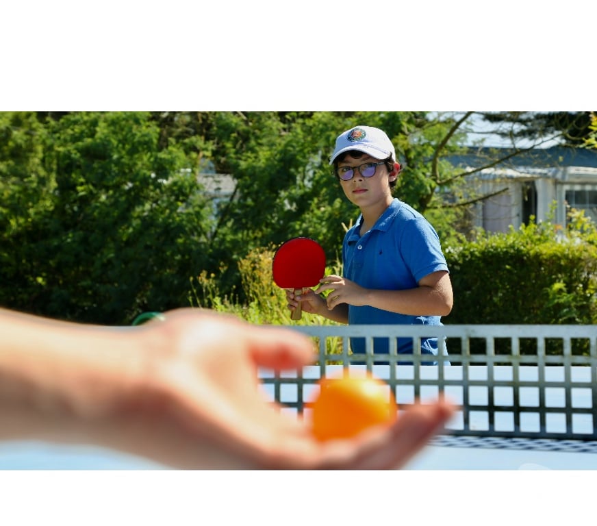 location saisonniere Loire-Atlantique Pornic - 44210 - Photos Vivastreet Mobil-home Grand Luxe 3 chambres proche du centre ville