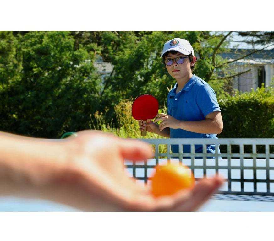 location saisonniere Loire-Atlantique Pornic - 44210 - Photos Vivastreet Chalet 3 chambres tout confort à Pornic !