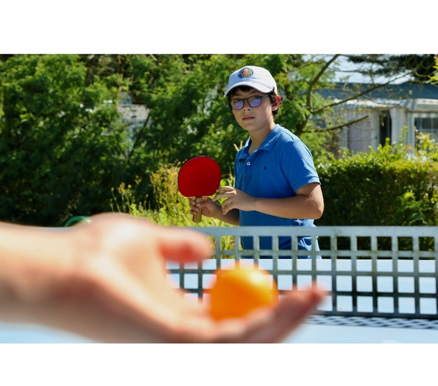 location saisonniere Loire-Atlantique Pornic - 44210 - Photos Vivastreet Mobil-home Premium 2 chambres tout confort !