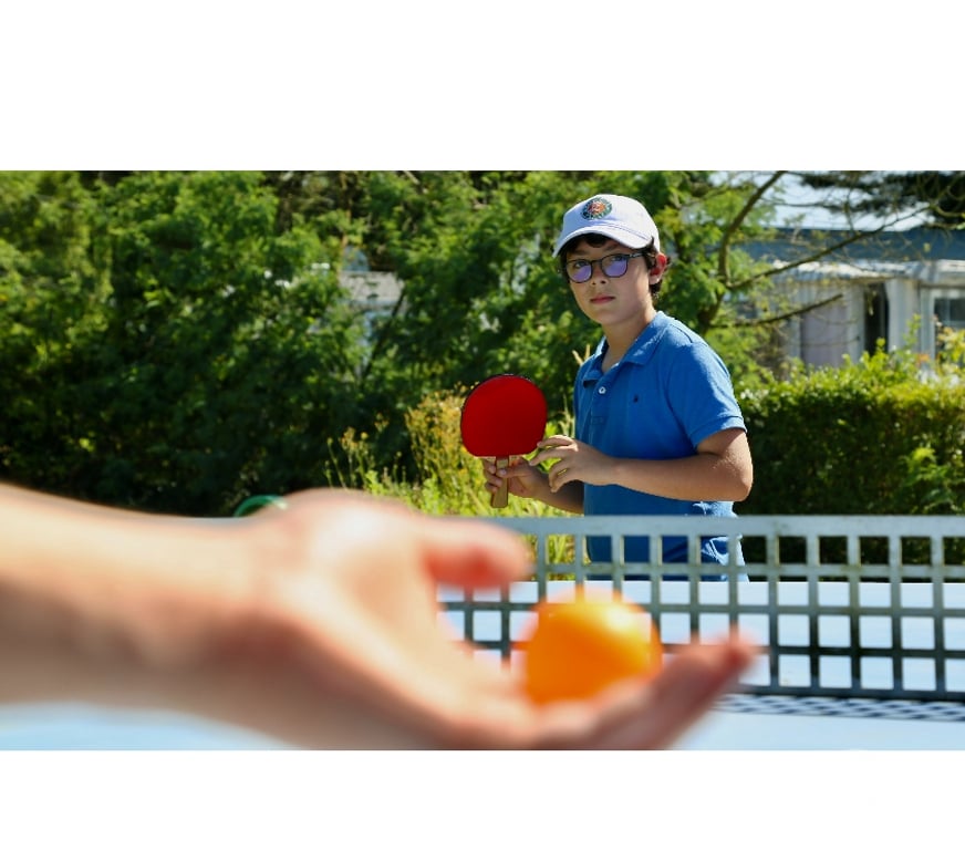 location saisonniere Loire-Atlantique Pornic - 44210 - Photos Vivastreet Mobil-home Classique Super mercure été comme hiver !