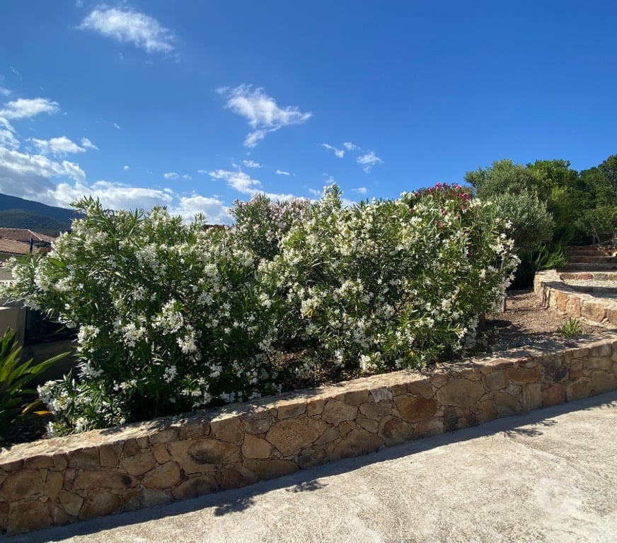 Vente Maison Haute-Corse Ventiseri - Photos Vivastreet vente villa proximité mer