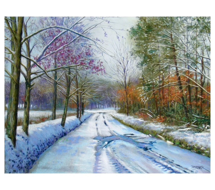 Expositions - Visites Loiret Fleury les Aubrais - 45400 - Photos Vivastreet Salon des Artistes Fleuryssois 26