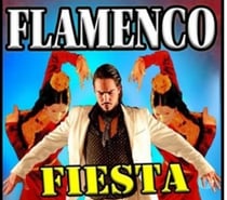 Photos Vivastreet Spectacle Musique et danse Flamenco