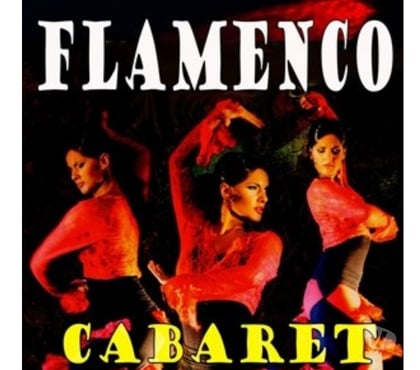 Concerts - Théâtre - Spectacles Lyon Lyon - Photos Vivastreet Soirée Cabaret Tablao Flamenco Gipsy