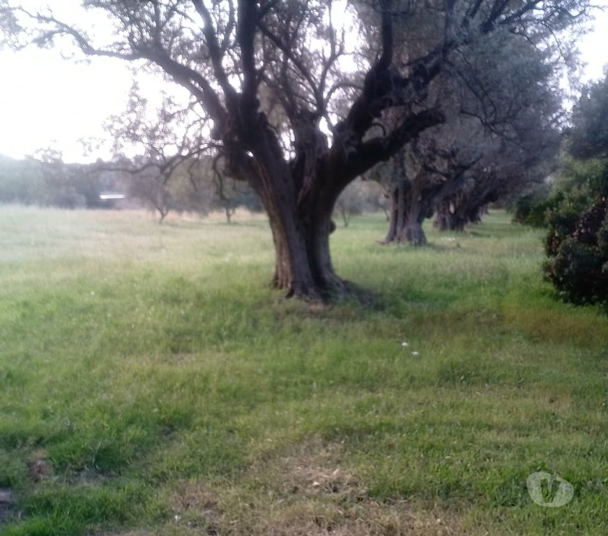 Aides à domicile Var Le Pradet - 83220 - Photos Vivastreet couple cherche un gardiennage entre st cyr et lavadou