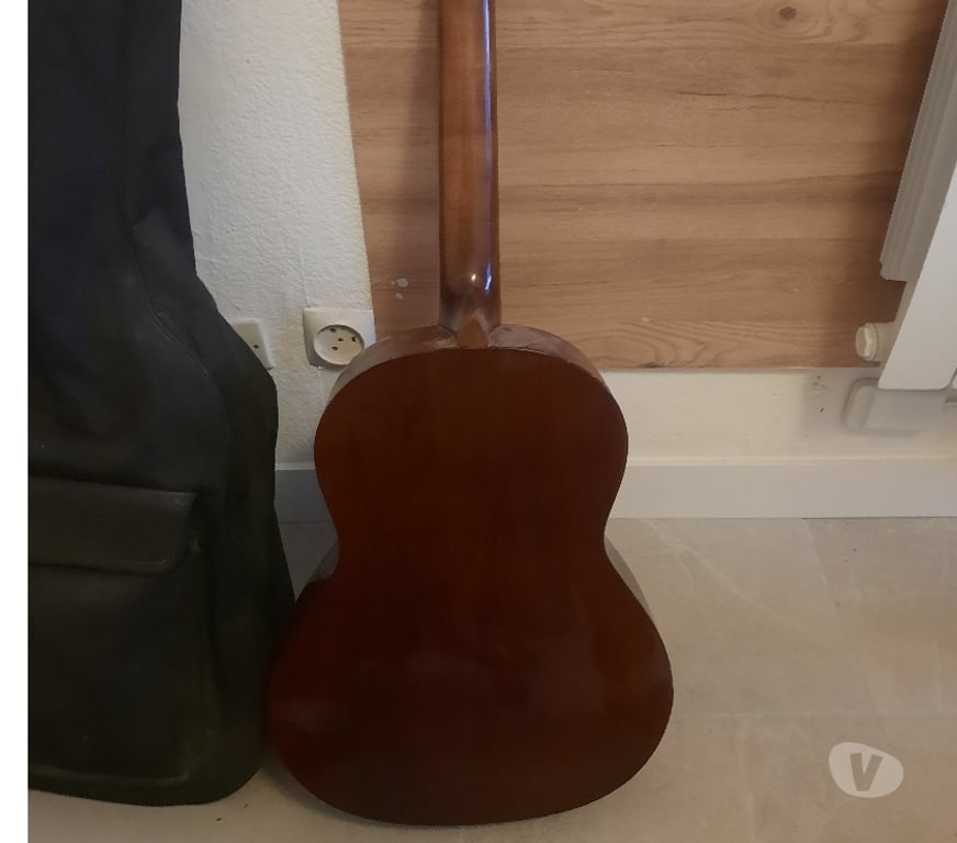 Instruments de musique Rhône Lyon - Photos Vivastreet Guitare et housse