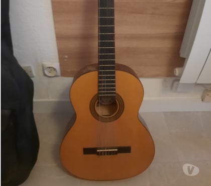 Instruments de musique Lyon Lyon - Photos Vivastreet Guitare et housse
