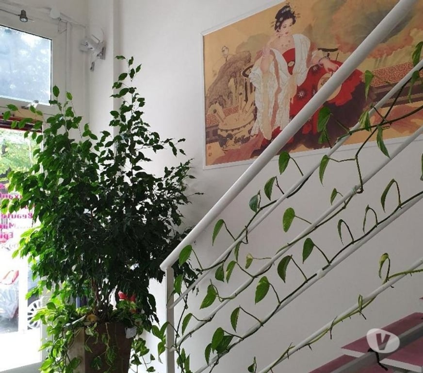 Massages Alpes-Maritimes Nice - Photos Vivastreet Massages chinois