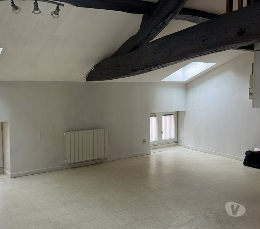 Location appartement Saône-et-Loire Macon - 71000 - Photos Vivastreet STUDIO 30M² AVEC MEZZANINE