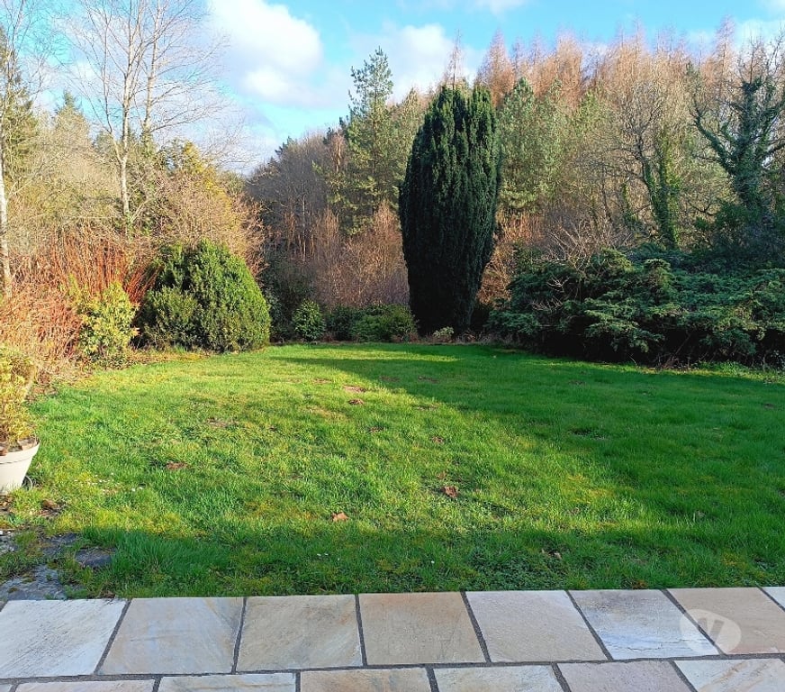 Vente Maison Finistère Huelgoat - 29690 - Photos Vivastreet Maison 5 chambres sur jardin 4000 m² et forêt 1,4 ha