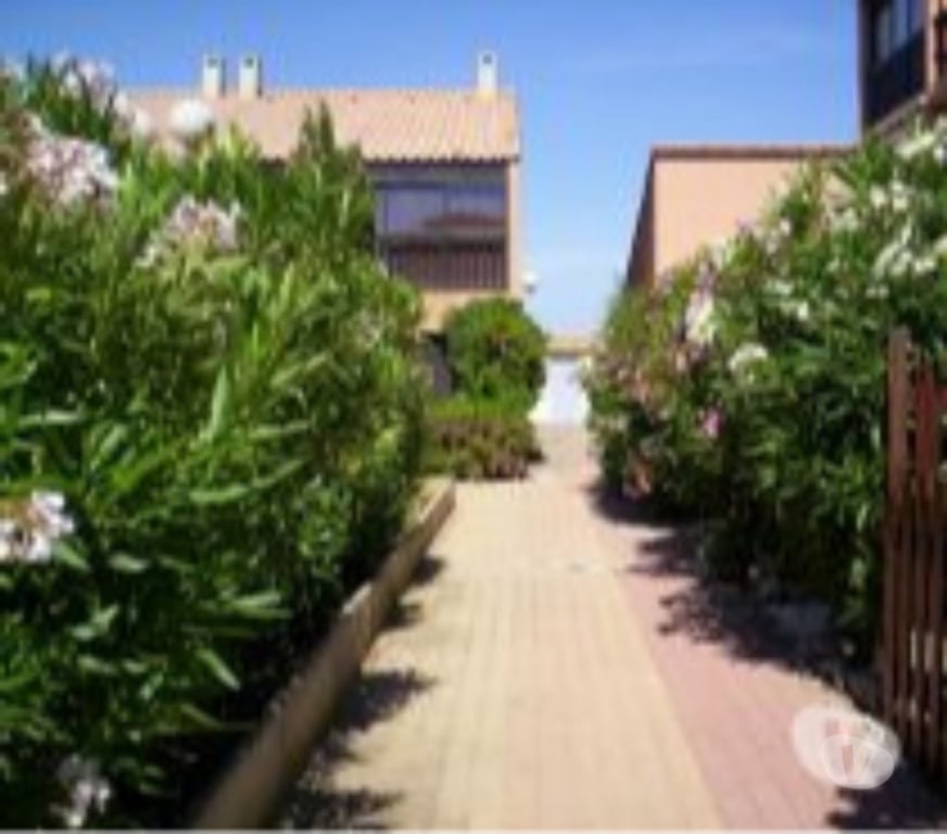 location saisonniere Aude Gruissan - 11430 - Photos Vivastreet studio RDC 4 personnes Wifi piscine parking local vélo