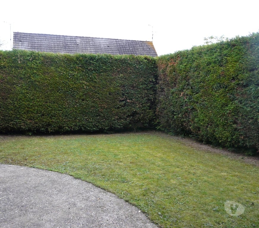 Location maison Somme Amiens - Photos Vivastreet PAVILLON CHALENDON