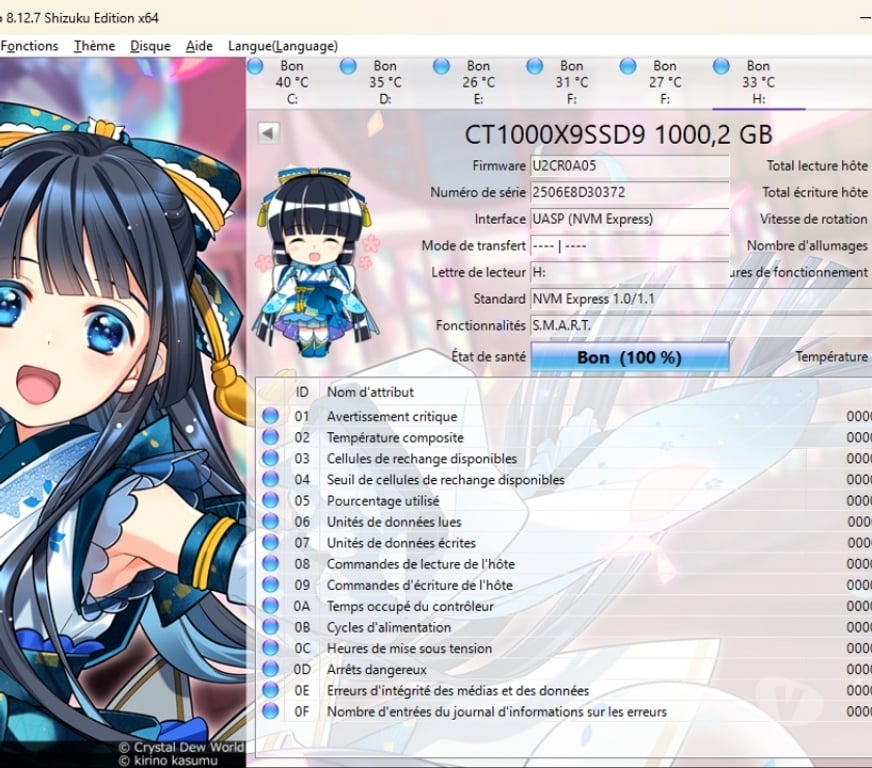 Informatique Nord Hazebrouck - 59190 - Photos Vivastreet Crucial X9 1TB (SSD Externe) + Adaptateur USB