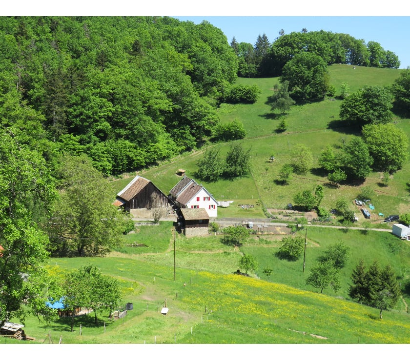 Location vacances Wasserbourg Haut-Rhin - Photos Vivastreet Vos vacances en Alsace - gîte au Dorsbach