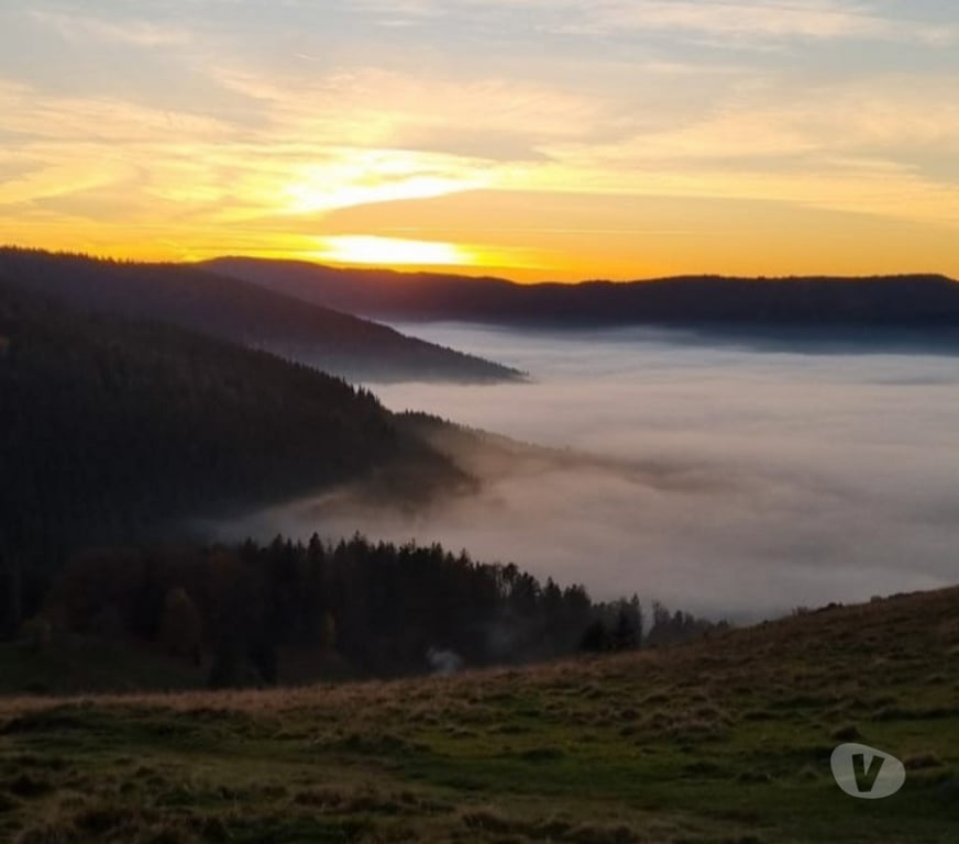 location saisonniere Haut-Rhin Wasserbourg - 68230 - Photos Vivastreet Vos vacances en Alsace - gîte au Dorsbach