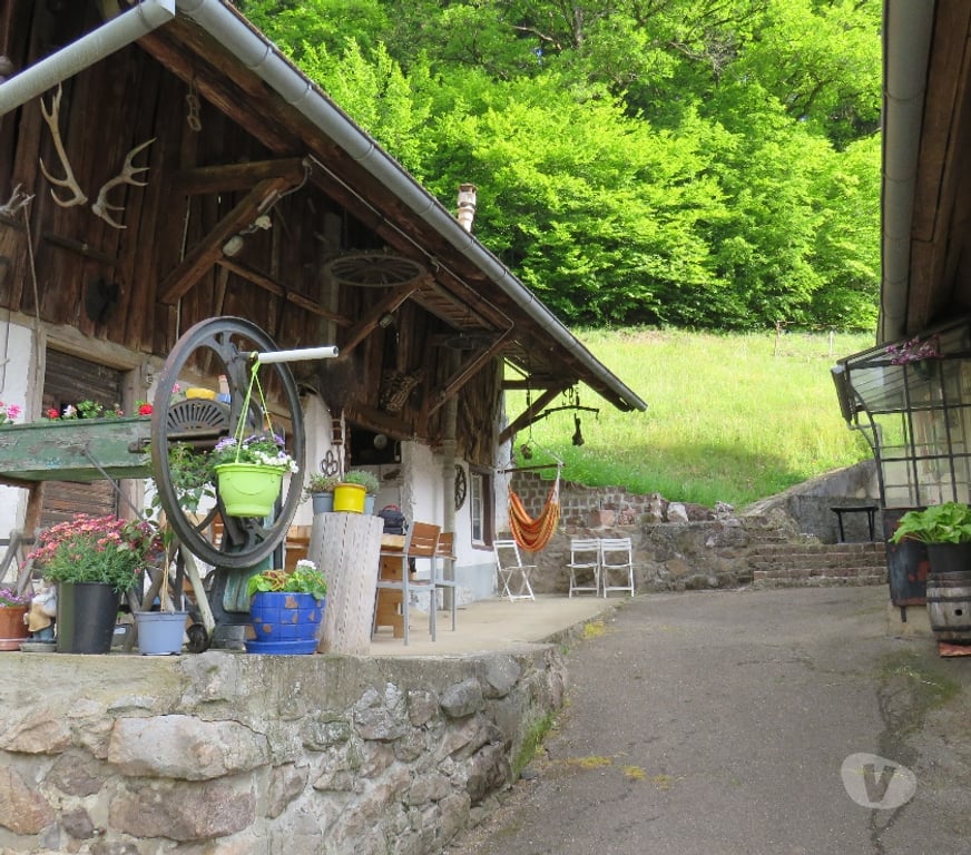 location saisonniere Haut-Rhin Wasserbourg - 68230 - Photos Vivastreet Vos vacances en Alsace - gîte au Dorsbach