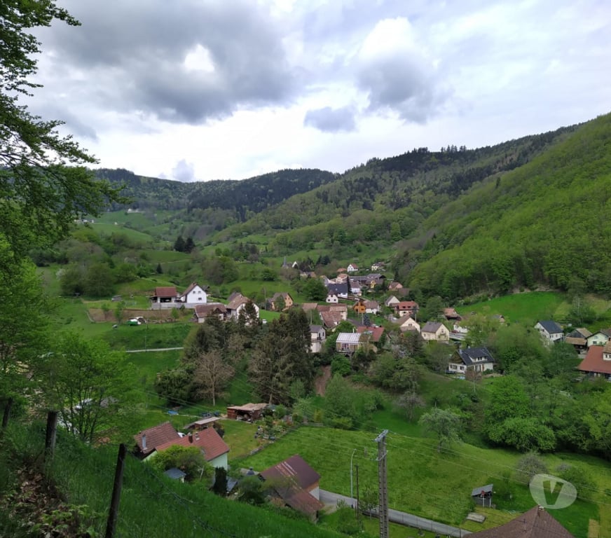 location saisonniere Haut-Rhin Wasserbourg - 68230 - Photos Vivastreet Vos vacances en Alsace - gîte au Dorsbach