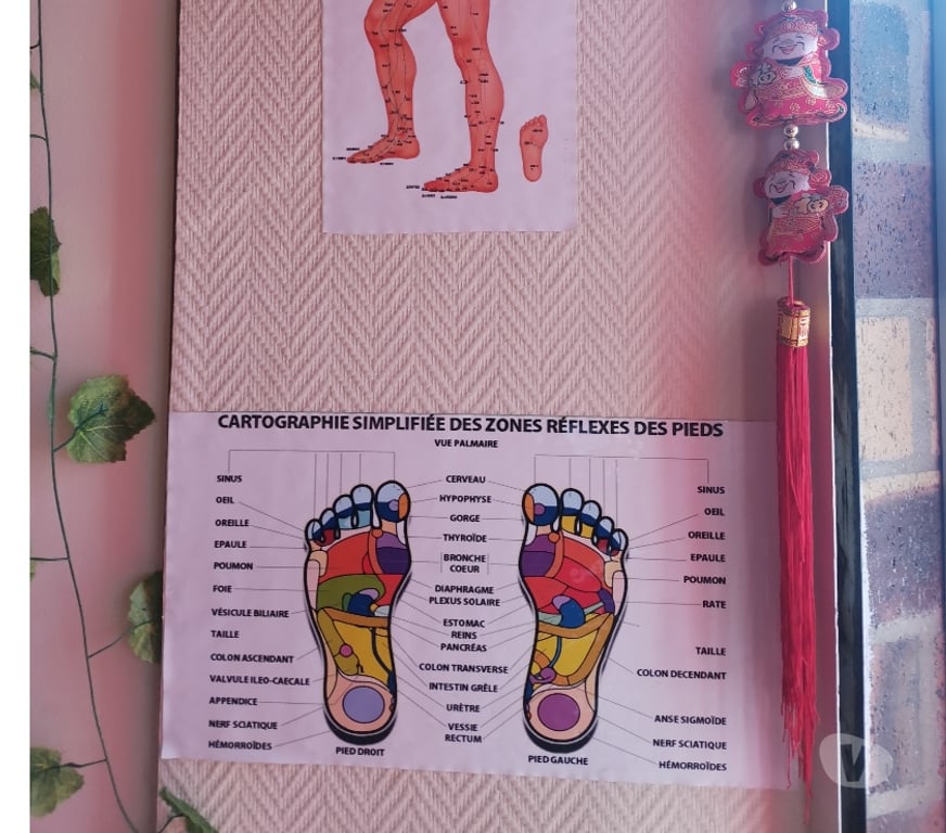 Massages Val-d'Oise St Gratien - 95210 - Photos Vivastreet SALON DE MASSAGE LYS D' OR