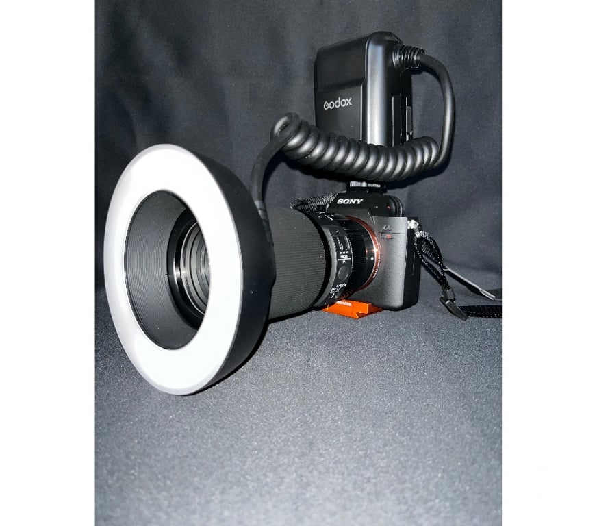 Castings, modèles, photographes Nord Lille - Photos Vivastreet vous avez envie de poser devant l'objectif?